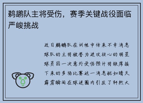 鹈鹕队主将受伤，赛季关键战役面临严峻挑战